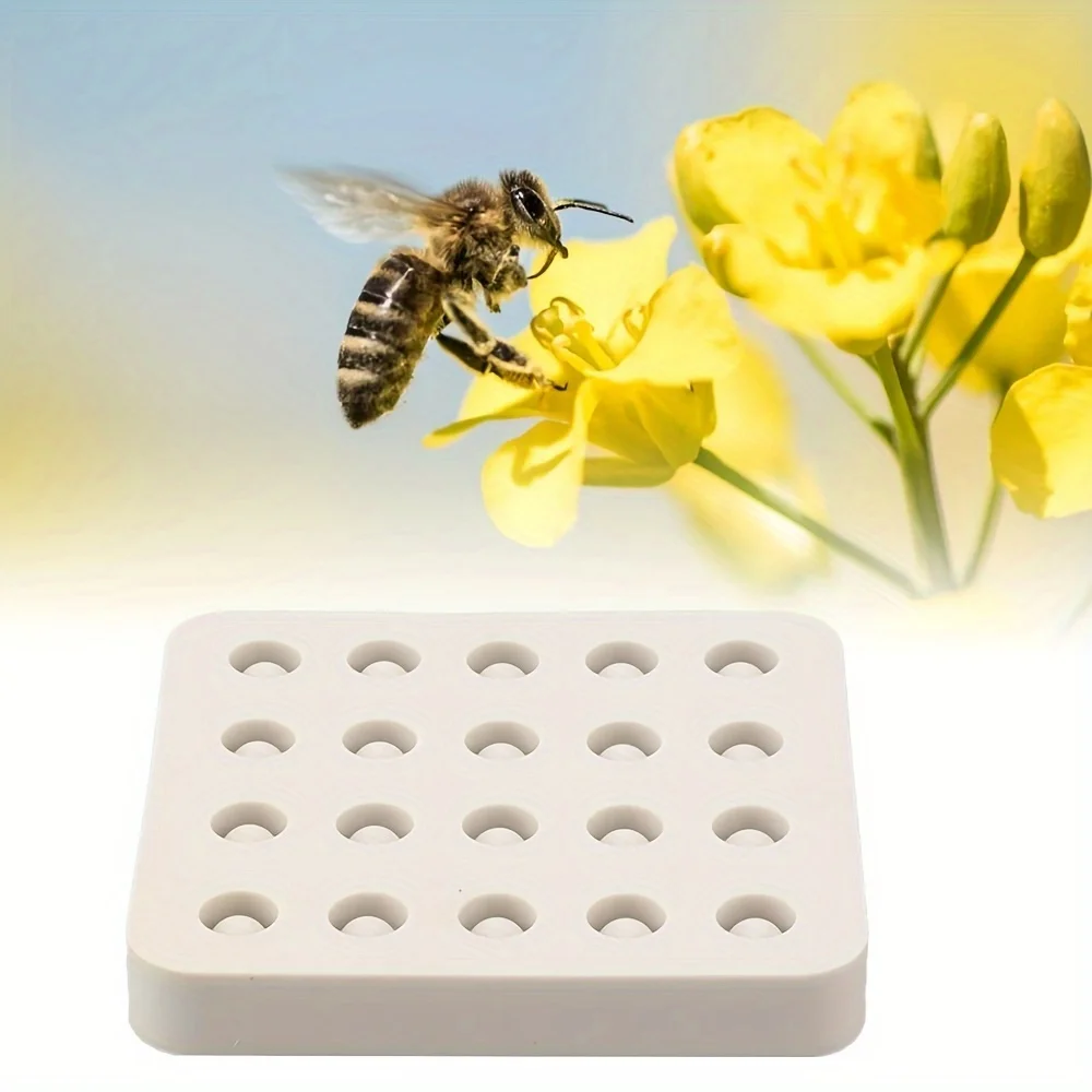 20-hole nest foundation cup beeswax king pulp cup beekeeping tool