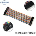 15cm Female-Male