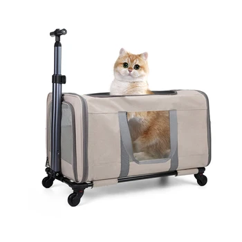 Double Cat Travel Trolley 1