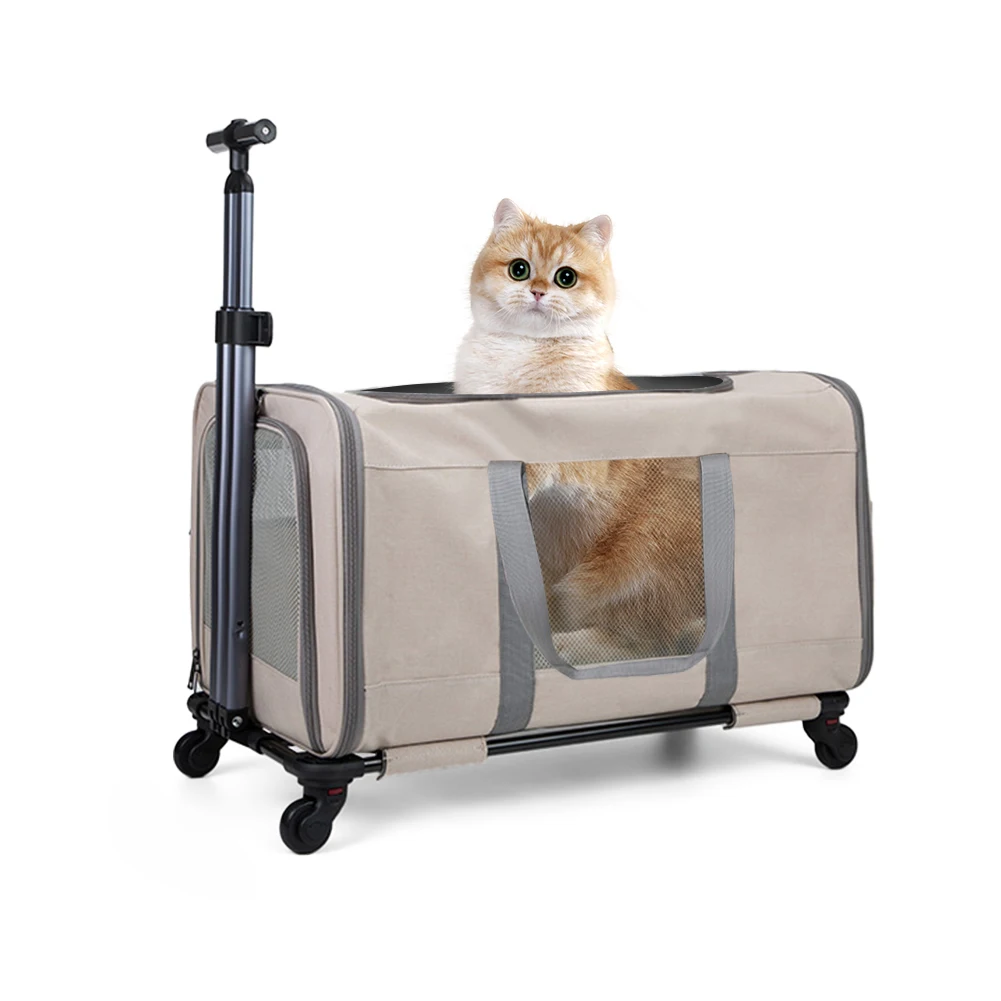 Double Cat Trolley 1