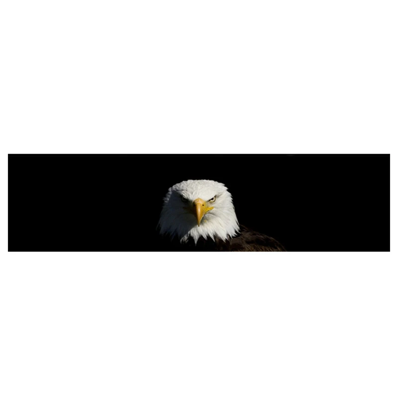 

A168 For Truck Suv Pickup 3D Rear Windshield Sticker Sun Visor Decor Rear Window Glass Poster 165 X 56CM / 65 X 22 Inch