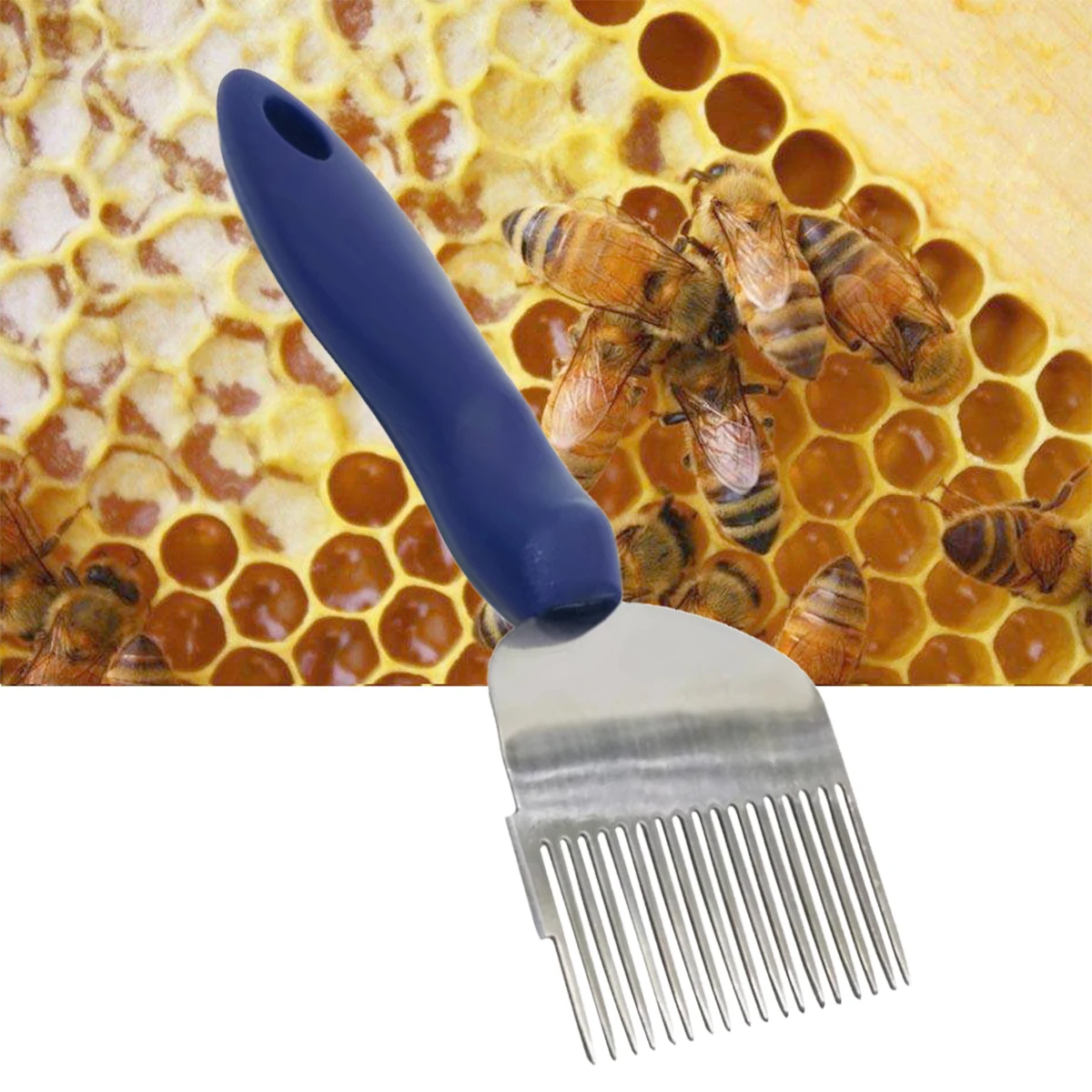 18 Needle Honey Shovel Uncapping Honey Scraper Honeycomb Hive Beekeeping Forks knife Stainless Steel Pin Apiculture Tool