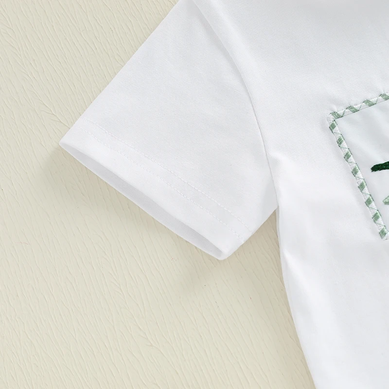Toddler Baby Boy Summer Outfit Dinosaur Pattern Crew Neck Short Sleeve T-Shirt with Plaid Shorts 2 Pcs Kid Boys Clothes Set