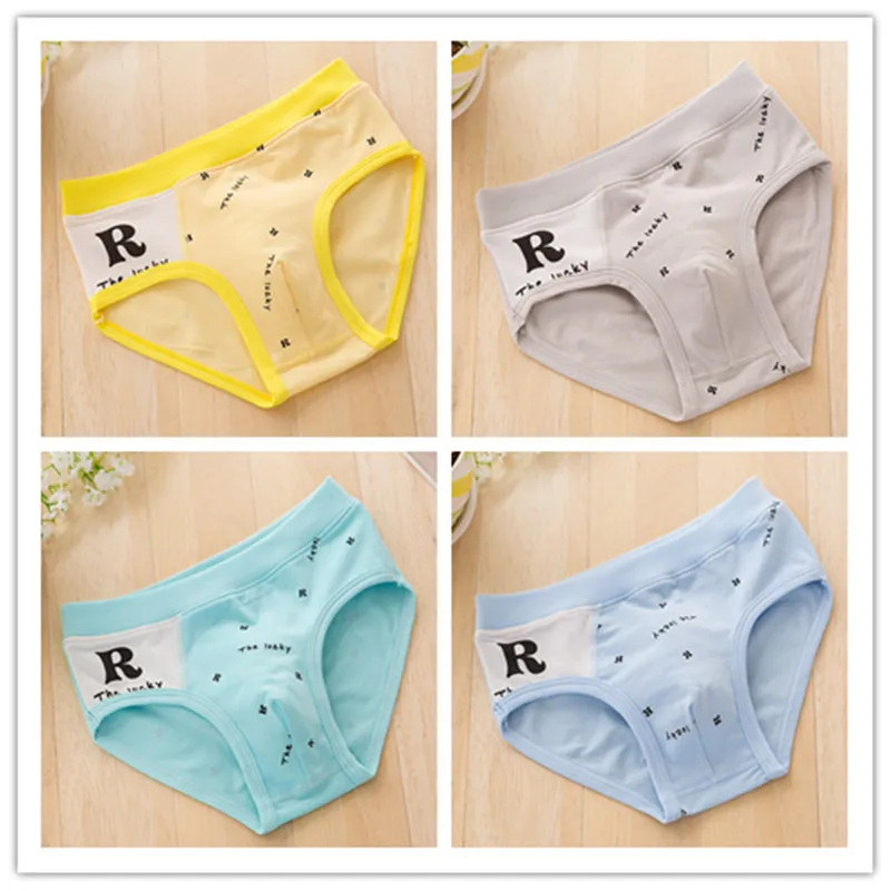 5Pc/lot Boys Briefs Gifts Underwear Boy Organic Cotton Panites Shorts