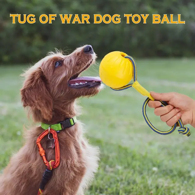 EVA pet toy ball dog floating  training dog pull ring bite resistant teeth grinding pet ball wear rope ball 6