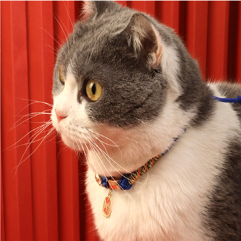 Title 13, Cat Dog Collar Bell Pendant for Kitten Puppy Pe...