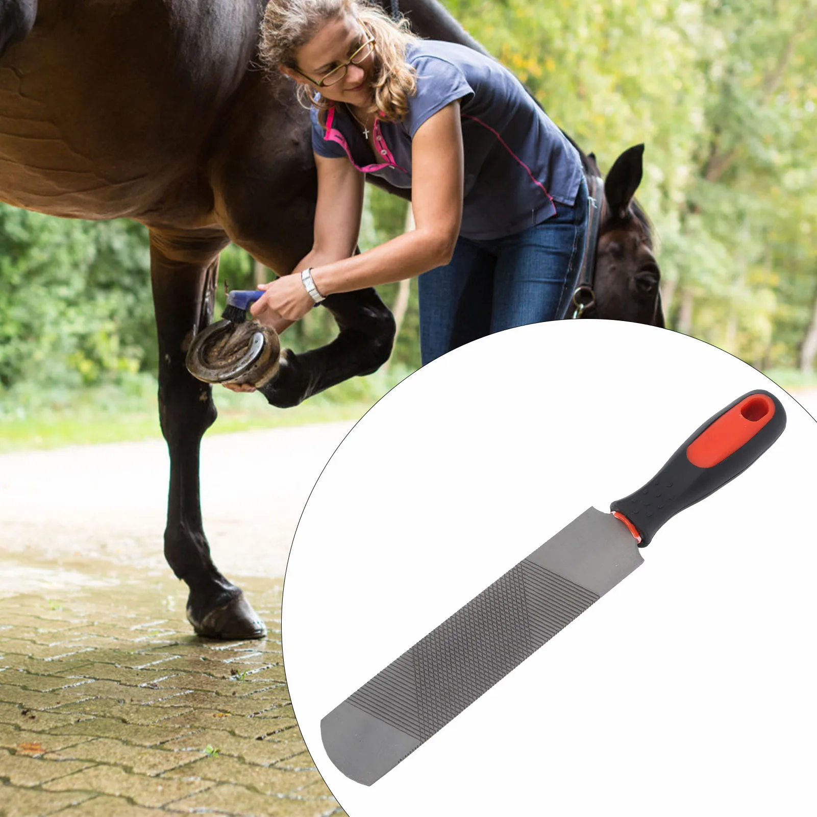 

8 Inch Iron Horseshoe File Equestrian Supplies Horse Hoof Rasp Trimming File Farrier Horseshoe Repair Tools