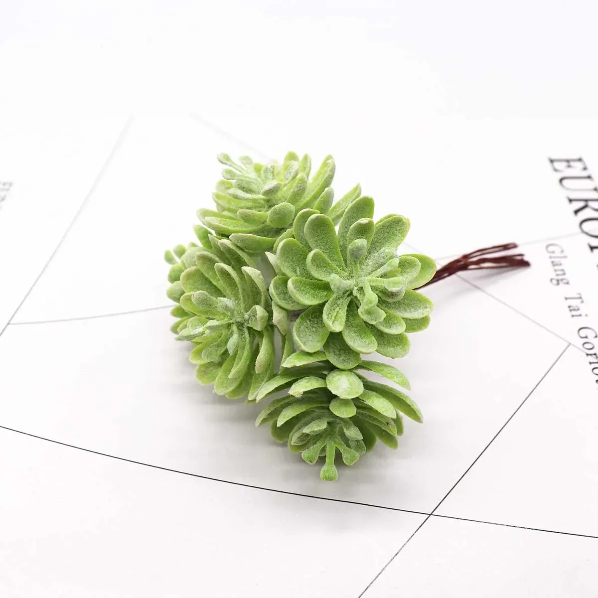 Slide image 2447a186ee1b4b689c39e04f7d0a402a