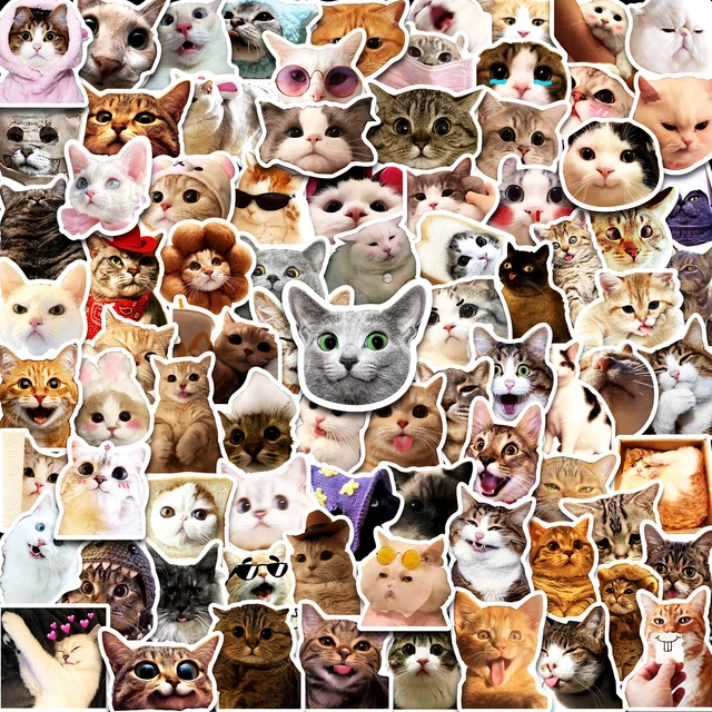 50Pcs Cat Stickers, Random Cat Stickers, Glossy Sticker
