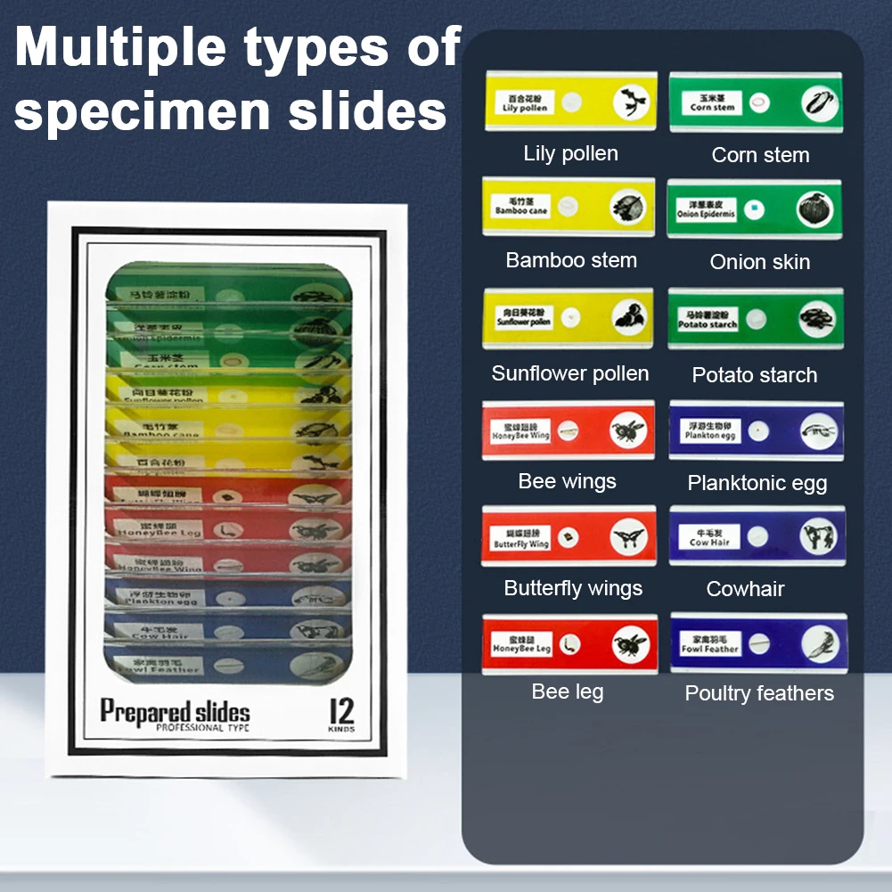 Kids Science Microscope Lab LED Light Battery Powered Handheld Microscope Light Home School Biological Science Educational Toys