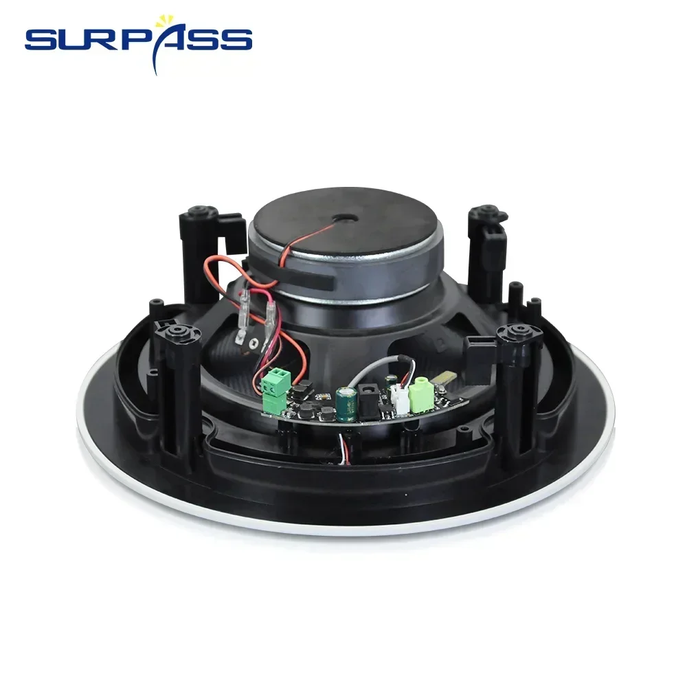 50 واط 8 ''سقف سمّاعات بلوتوث المدمج في الفئة D مك...