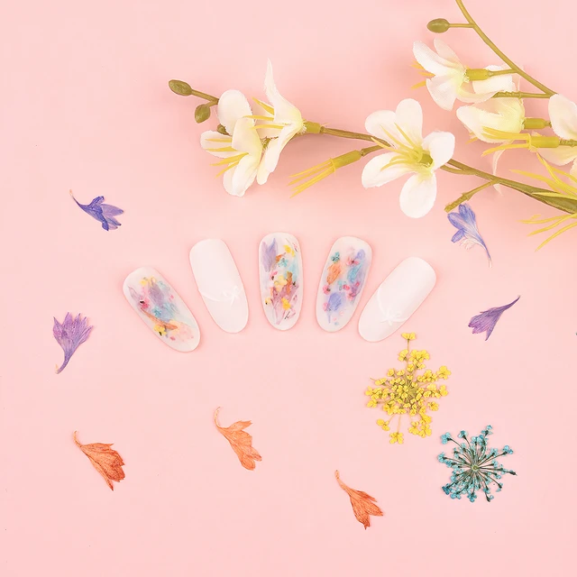 12 Styles Dried Flower Nail Decorations Natural Floral Mixed 3D Nail Art  Flower Stickers DIY Nail Art Accessories Nail Decor Z-3 - AliExpress