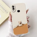 Case-c22