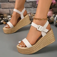 Summer Chunky Wedges Sandals Women 2025 Plus Size 35-42 Thick Paltform Sandles Woman Ankle Strap High Heels Sandalias Mujer - Image 4
