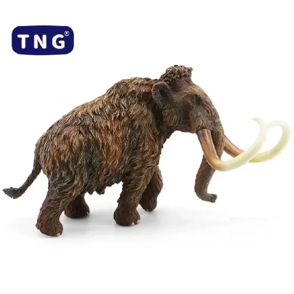 当時物　マンモス　おもちゃ　フィギュア Tng-動物フィギュアモデル人形、マンモス象、先史時代の動物