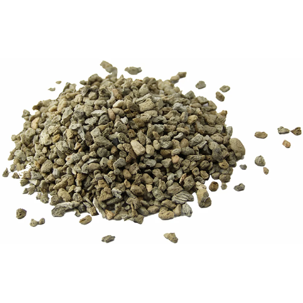 

Title: Bag of Succulent Cactus Gravel Pebbles Plants Soil Covers Horticultural Gravel Terrarium Potting Pebbles