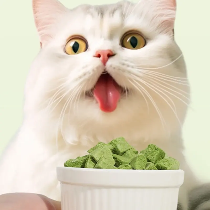 Appetites Increase Grass Hairball Control Dental Health Licking Treats  Cat Hairball Control Freeze Dried Snack - Image 5