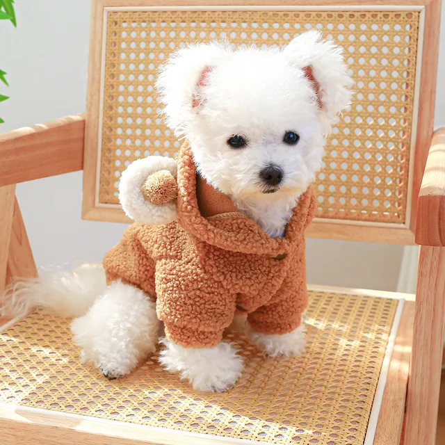 1PC Pet Apparel Cat Autumn Winter Plush Thickened Warm Little Bear Head Coat Hoodie With Drawstring Buckle For Small Medium Dogs 2