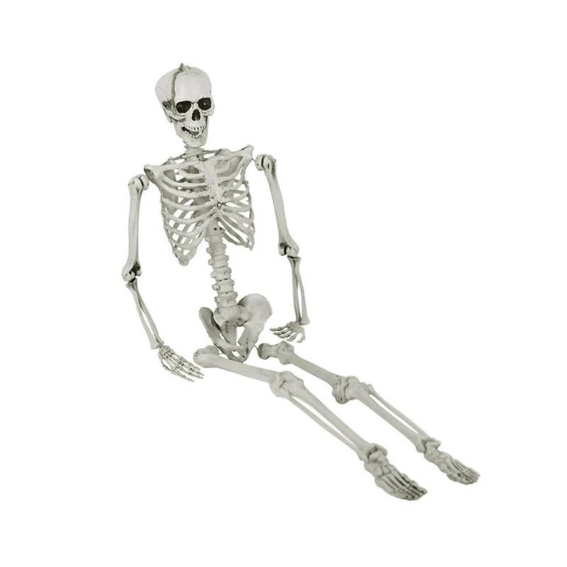 

Poseable Skeleton Decoration Realistic Bone for Spooky Halloween Scene