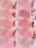 DIKALU Matte Lip Liner Novice Non-stick Cup Toot Lip Velvet Mist Lip Gloss Lip Liner 6