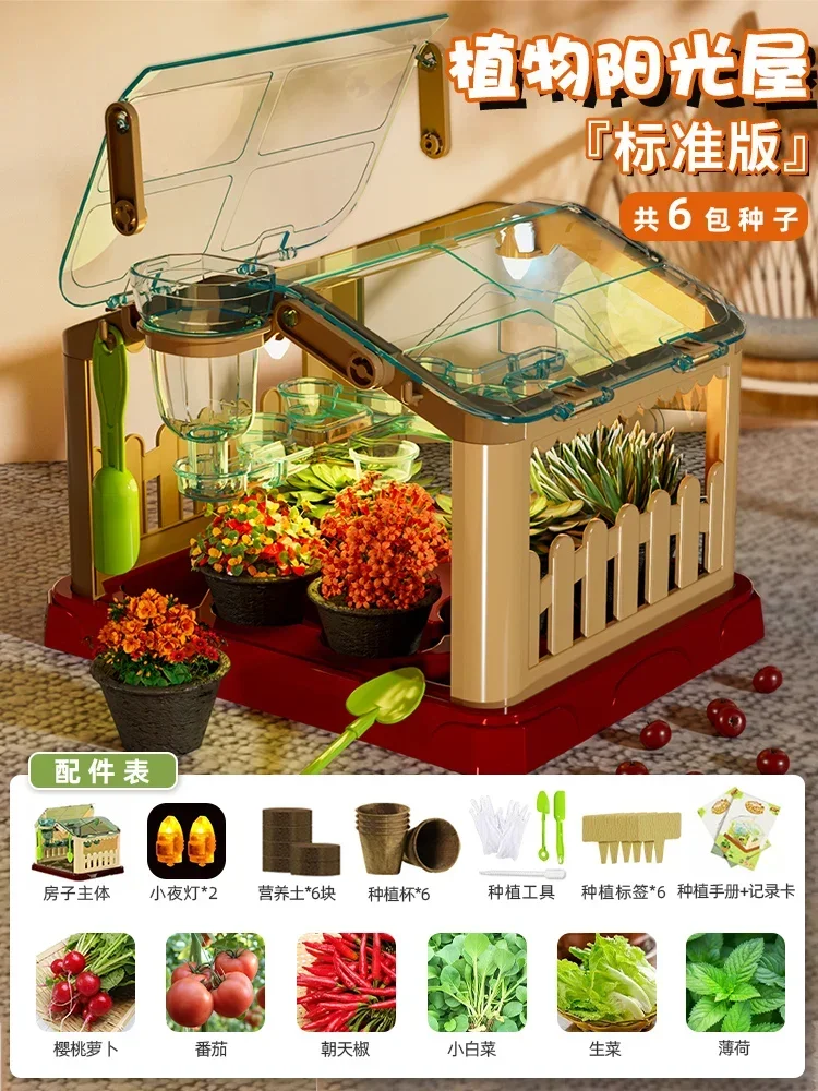 منزل زراعة أشعة الشمس للأطفال تجربة علمية صندوق مر...