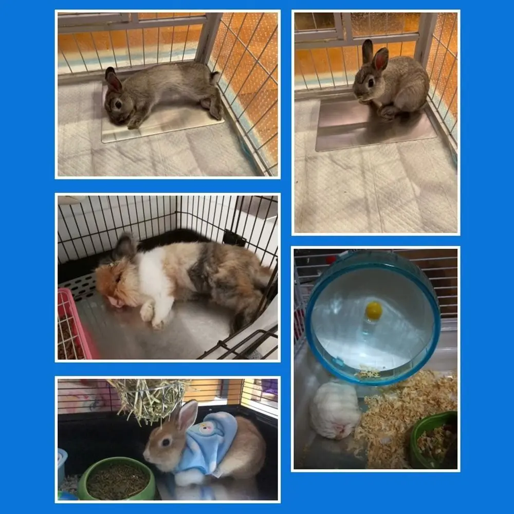 Aluminium-Kühlplatte für Haustiere, Wärmeableitende Glatte Hamster-Kühlmatte, Wiederverwendbare Nicht-elektrische Kaninchen-Kühlplatte – Detail 5