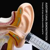 12ML Ear Cleaner Washer Syringer Elbow Rubber Tube Earwax Cleaning Removal Tool Ear Cleaner Wax Removal Ear Cleaner Health Care 5