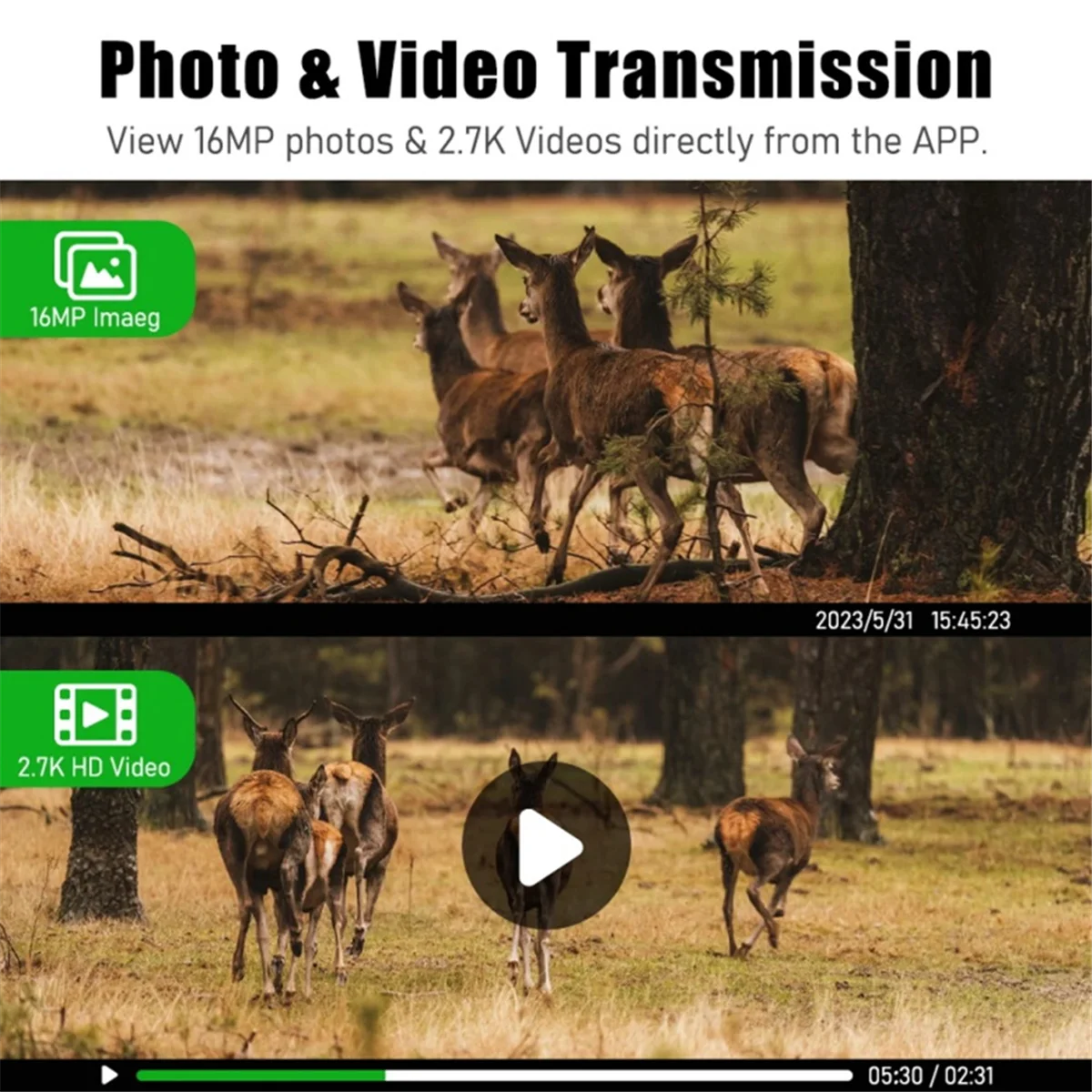 Cellular Solar Hunting Trail Camera 5