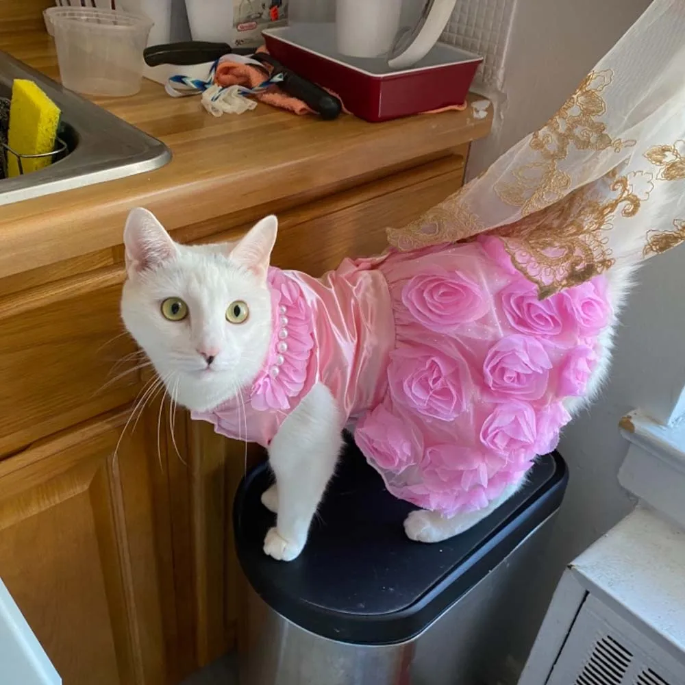 strapless open back dress Little Princess Cat Dress & Hat Set main image 0