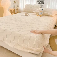 Milk Velvet Fitted Sheet Soft Comfortable Fleece Bed Cover Autumn Winter Mattress Protector Cover Bedsheet Solid Color 2