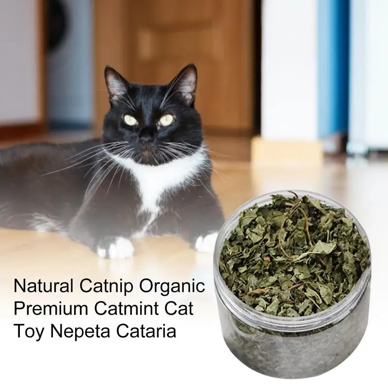 

Bite Resistant Cat Mint Catnip Toy Mint Rotating Ball Cat Toy Mouth Digestion Cat Licking Snacks Ball Edible Teeth Cleaning Toy