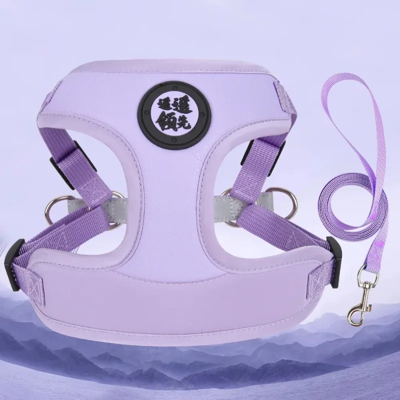 

Pet Breathable Mesh Adjustable Chest Strap Outdoor Reflective Harnesses with Traction Rope Pets Comfortable Vest for Small Dogs