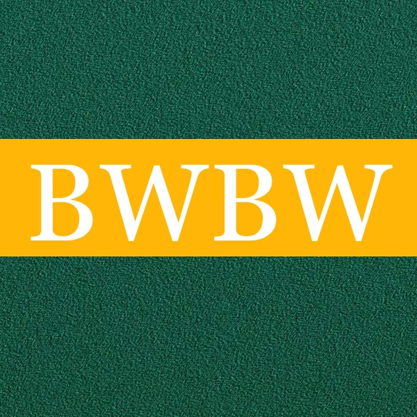 BWBW Travel Bag Shop Store