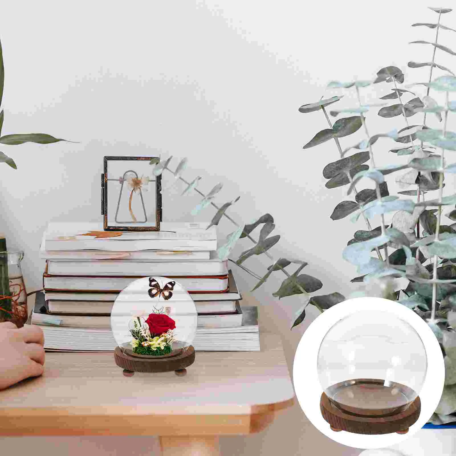 

Empty Glass Dome Wooden Base Miniature Glass Display Dome Round Plant Dome Glass Display Case with Base