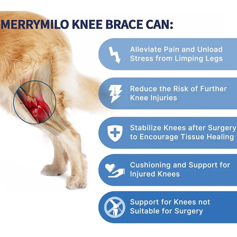 Dog Knee Brace For Support With Cruciate Ligament Injury, Joint Pain And Muscle Sore, Better Recovery With Dog ACL Knee Brace
