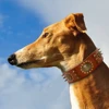 Leather Large Dog Collar Pitbull Spiked Studded Collars for Medium Large Big Dogs Genuine Leather Durable Pet Collar Brown 4