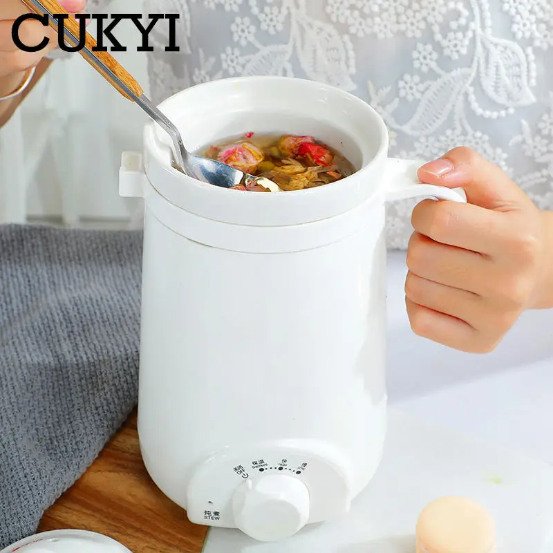 0.5L Portable Ceramic Wellness Mug Thermal Electric Kettle Slow Stew Pot Health Cup Keep Warm Bird's Nest Dessert Soup Simmer EU 5