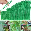 Green Heavy Duty Nylon Cable Ties Multi-Purpose Self-locking Plant Support Tie Home Garden Plant Care Fastener Ties Wholesale 2