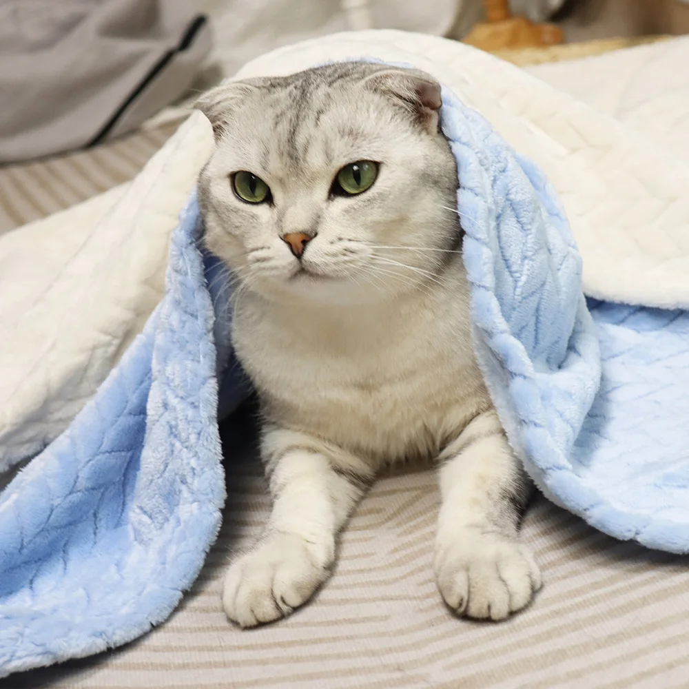 ���� ��� �ֿ� ���� ��� ������ ��� ���� ��Ʈ �� �ſ� �����ϰ� �ƴ��� ���� �簢 �ö��� ���� �÷��� ��� �β��� ���