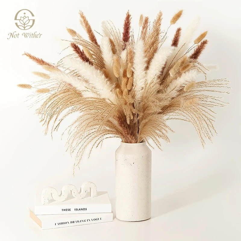 

Natural Fluffy Pampas Grass Dried Flowers Boho Home Decor Bouquet Flocking Party Decoration Wedding Supplies Photography Props