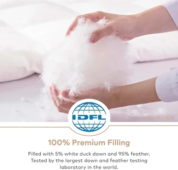 Ultra Soft Lightweight Duvet Insert, Cooling Thin Summer Down Comforter, Hotel Quality Natural Duvets Inserts, 100% Cotton Cover 5