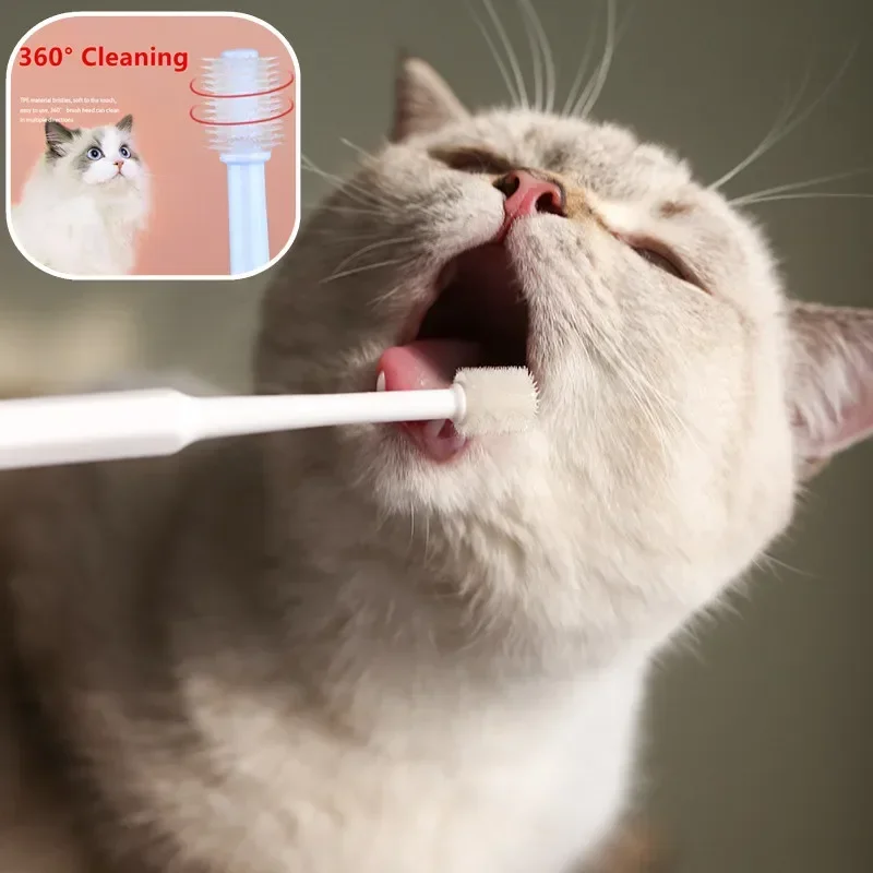 Soft Silicone Cat Toothbrush For Teeth Cleaning And Grooming_voghion.com