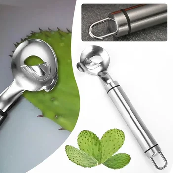 Stainless Steel Cactus Peeler Spoon 1