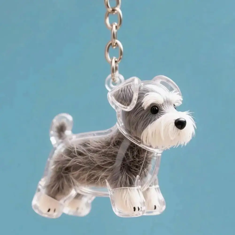 Transparent Pet Hair Storage Keychain Pendant
