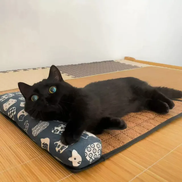 Cat Natural Cooling Mat Summer Pet Self Cooling Pad Cat Bed Mat For Dogs Indoor Rattan Weave Mat Sleeping Cat Bed 3