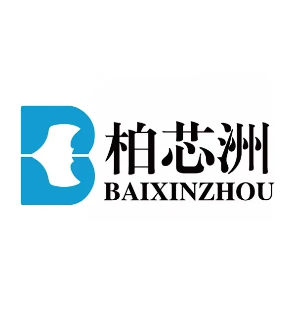Shenzhen Baixinzhou Technology Co Ltd Store