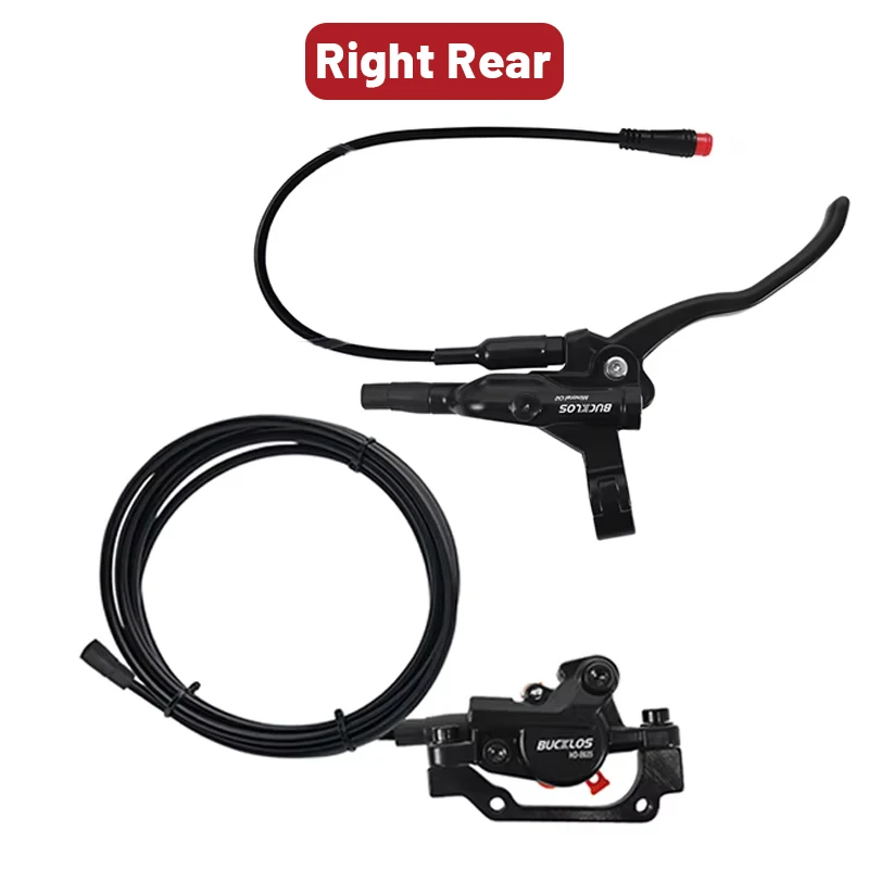 Rear Brakes