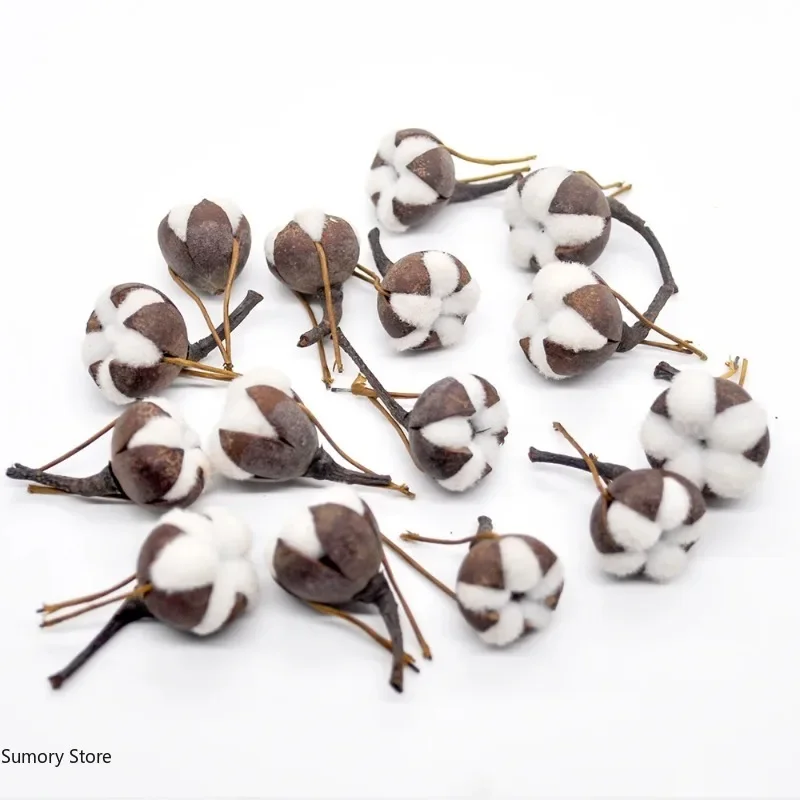 12 Artificial Kapok Natural Dried Flowers Simulation Cotton Wedding Room Easter Decoration Supplies DIY Wreath Bouquet Gift Box