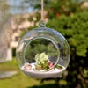 Transparent Glass Vase Plant Creative Hanging Glass Ball Flower Vase Terrarium Container Home Office Decor Hanging Decorative 2