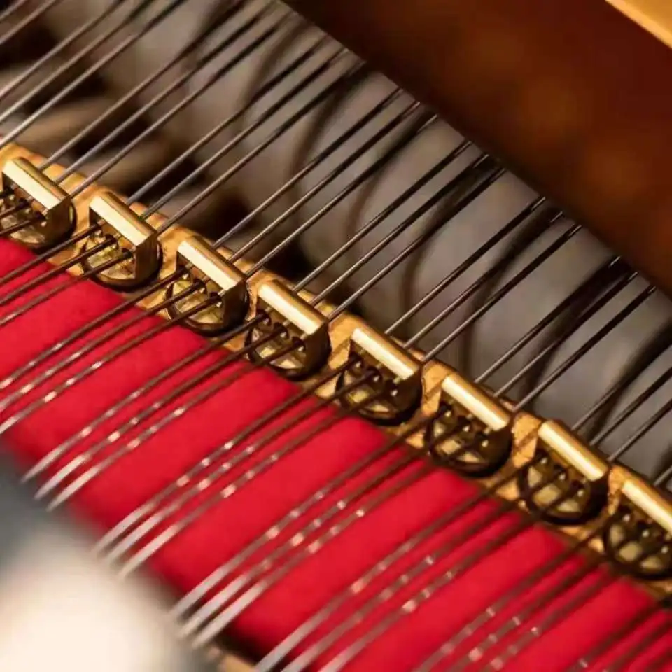 PrecisionZhong Jiang piano tools imported from Germany Roslau polished strings steel wire corde a piano inox